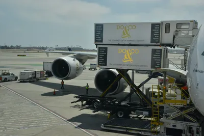 DSC_4066 (Large).JPG